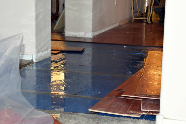 Professional Water Damage technician working in Winthrop, MA